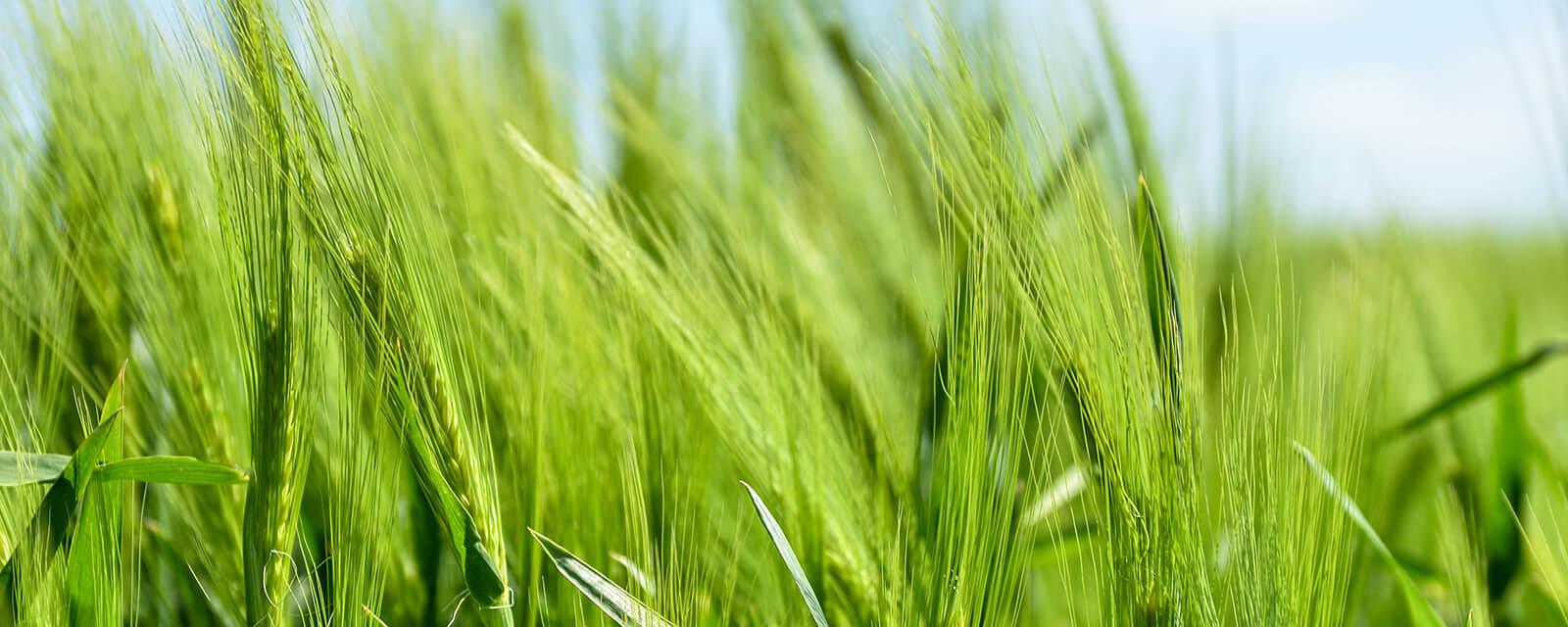 Pastoraler Raum Lebach