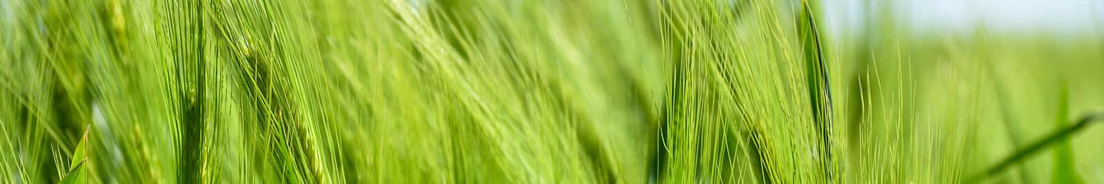 Pastoraler Raum Lebach