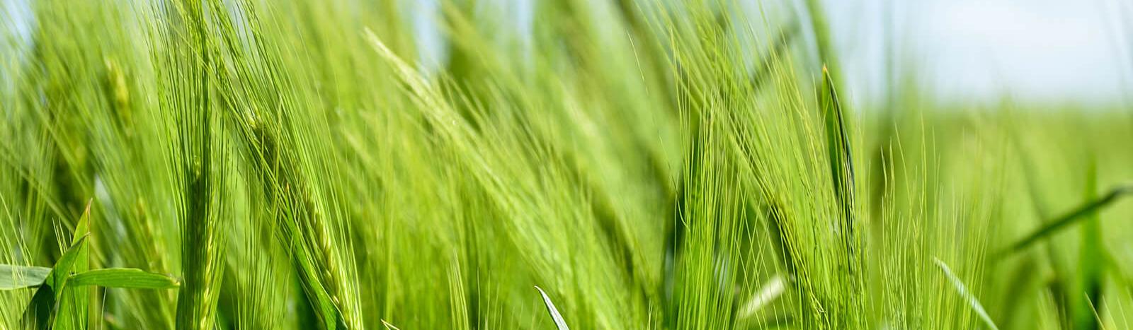 Pastoraler Raum Lebach