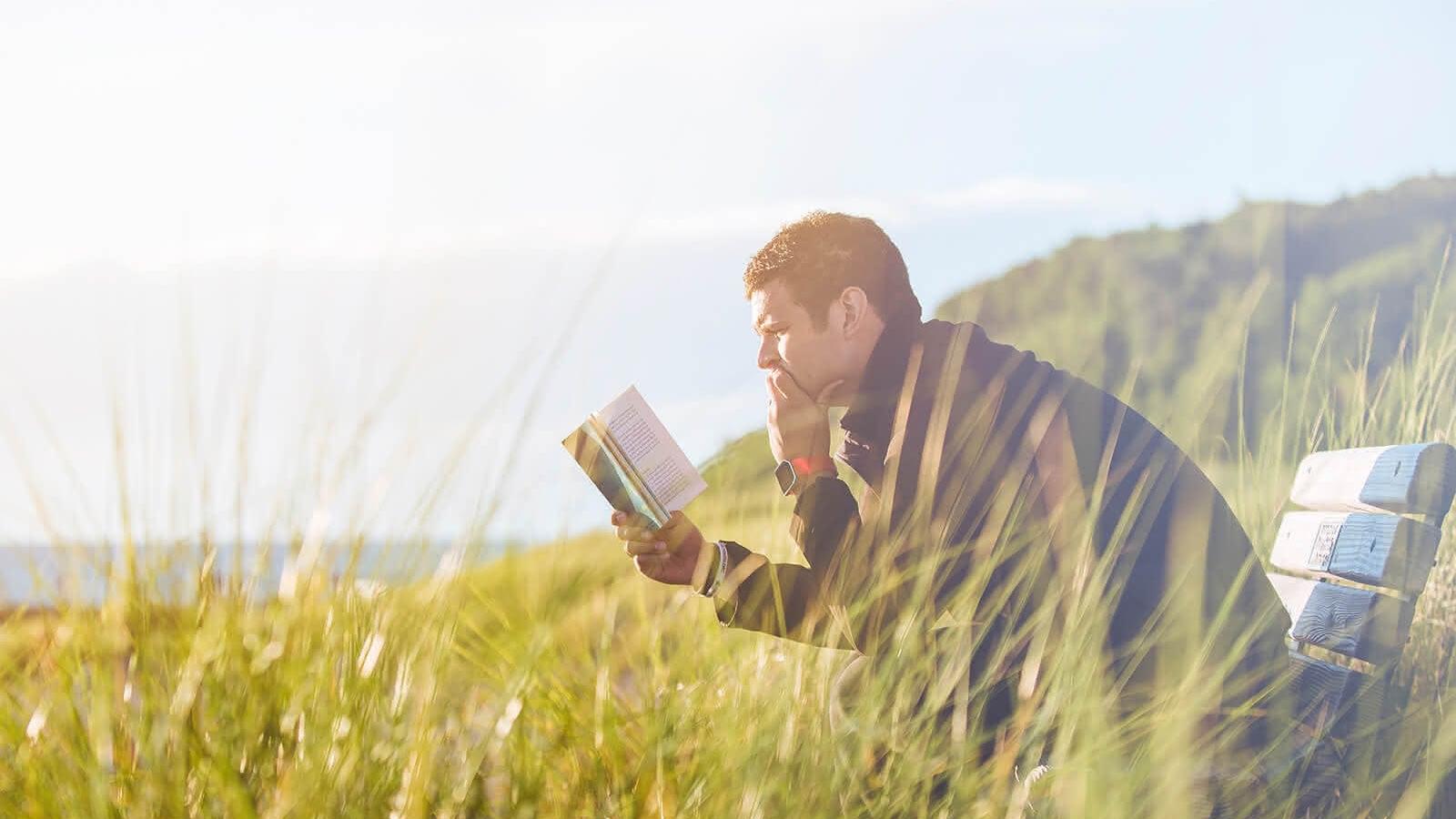 Mann mit Buch auf einer Bank in einer Wiese