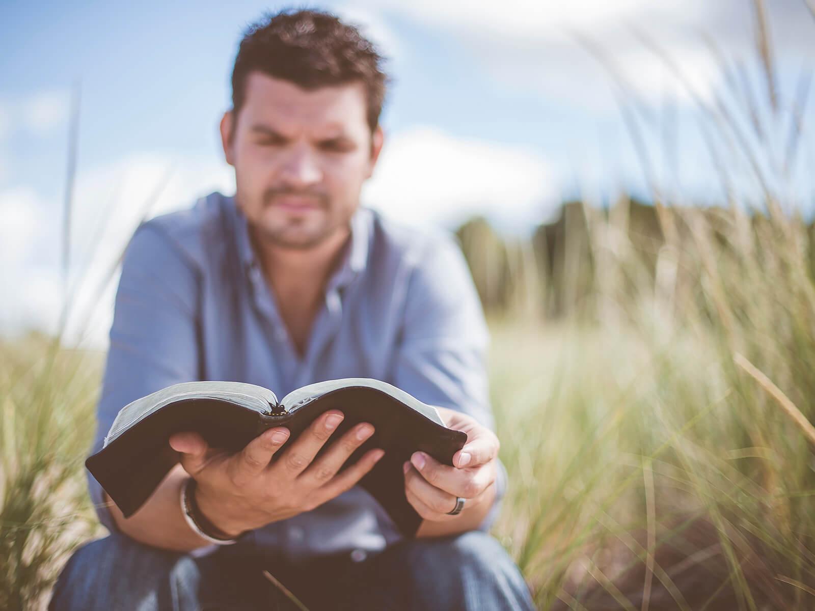 Mann mit Buch in einer Wiese