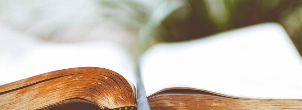 Geschichte des Weltjugendtages