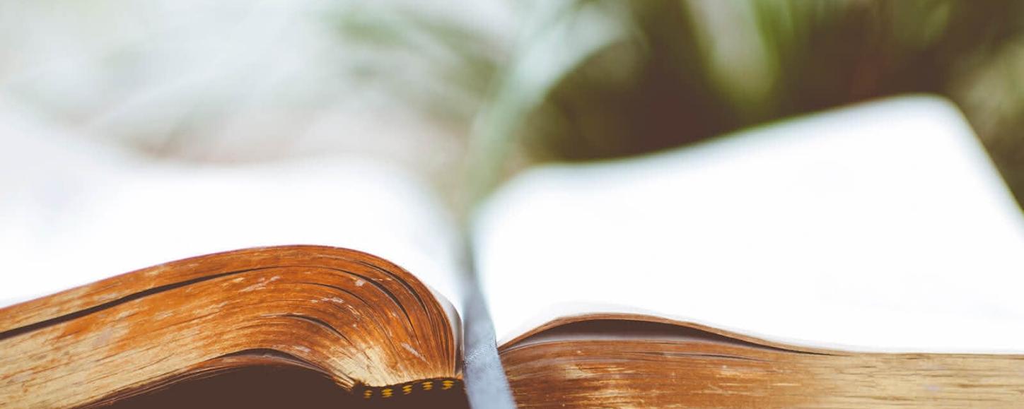 Geschichte des Weltjugendtages