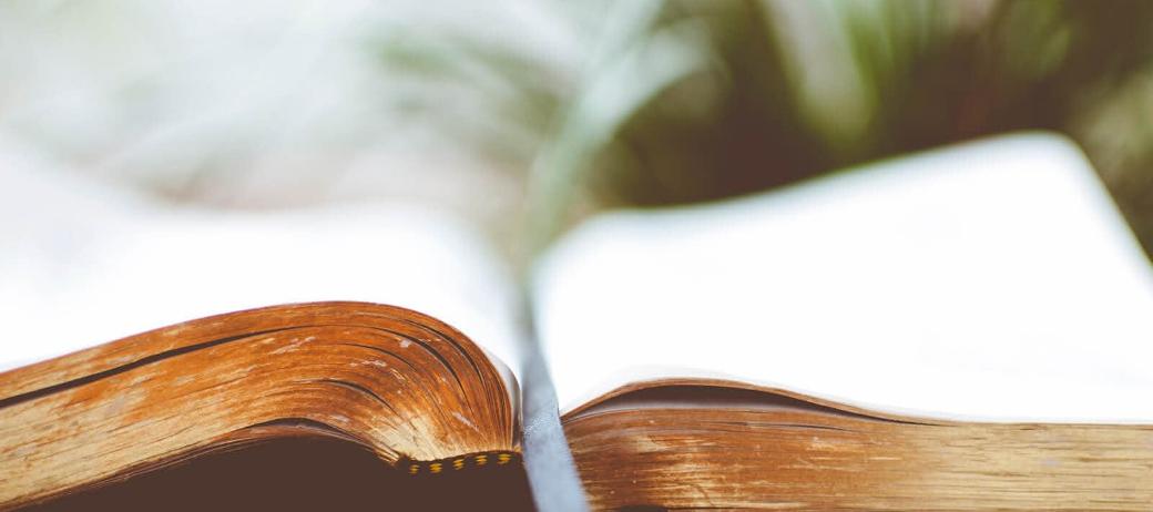 Geschichte des Weltjugendtages