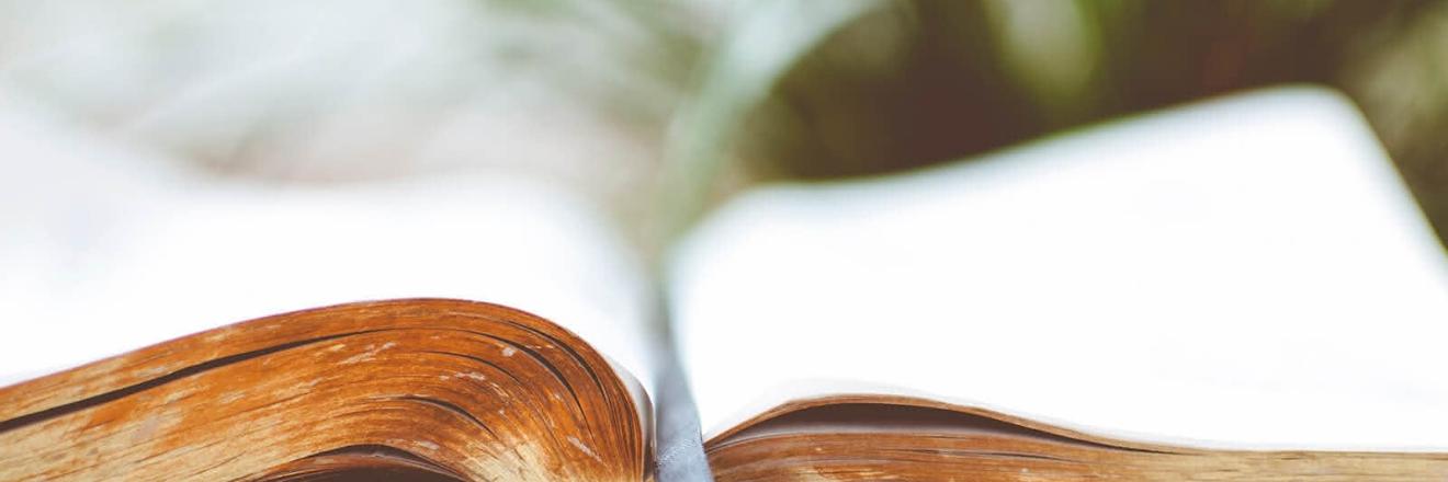 Geschichte des Weltjugendtages