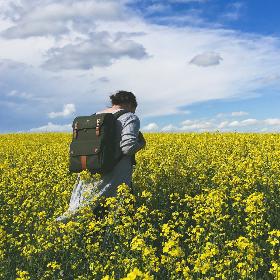 Der Wander im Rapsfeld mit einen langen Titel. Eigentlich ist der Titel zu lang, aber es ist eben so wie es ist, da kann man leider nichts machen.